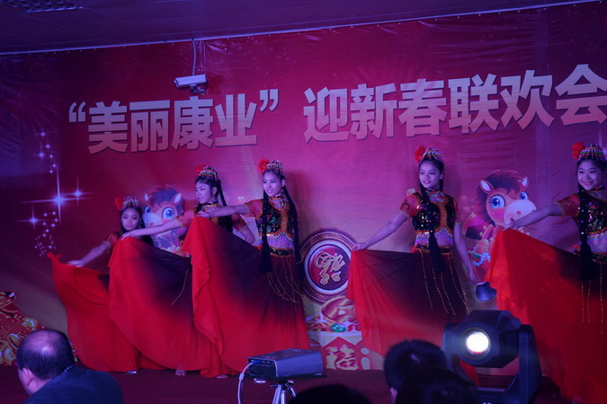 2014迎新春联欢会激光舞